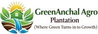 Green-Anchal