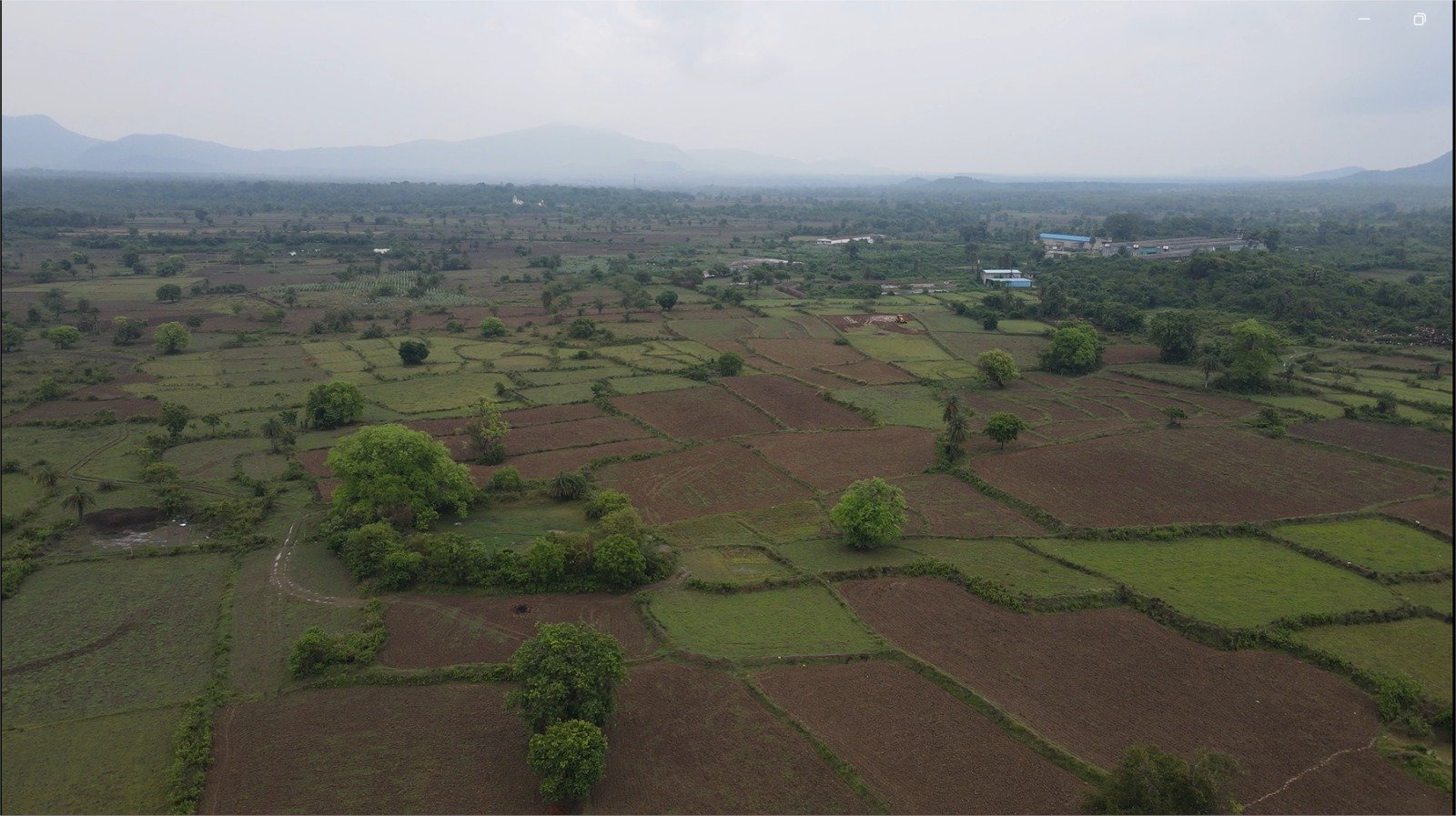 Farmers