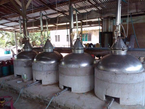 Agarwood Process