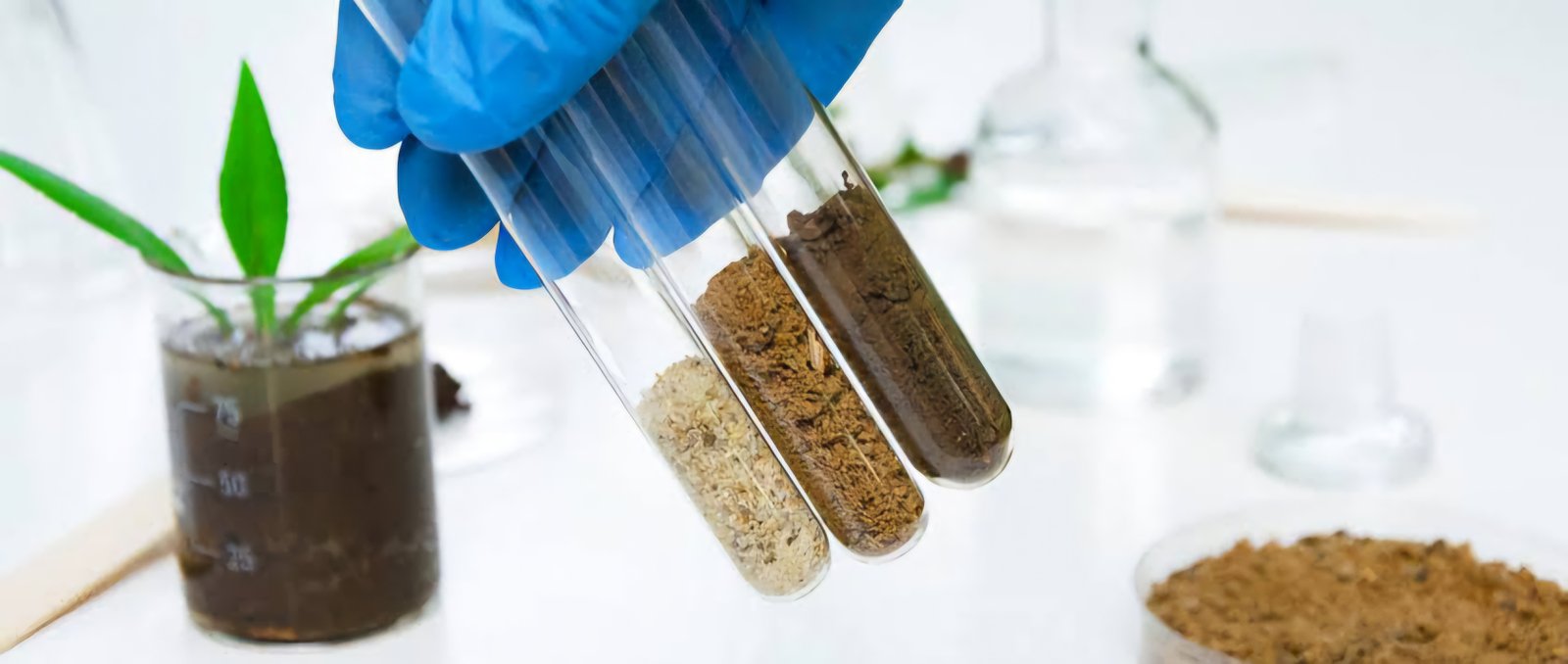 Soil Test